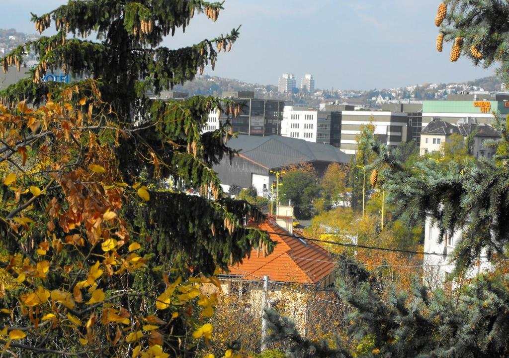 Kis Gellert Guesthouse — Photos 3