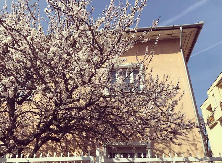 Kis Gellert Guesthouse, Budapest